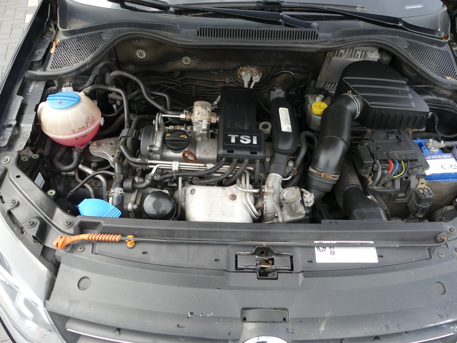 Fahrzeugabbildung Volkswagen Polo V Team
