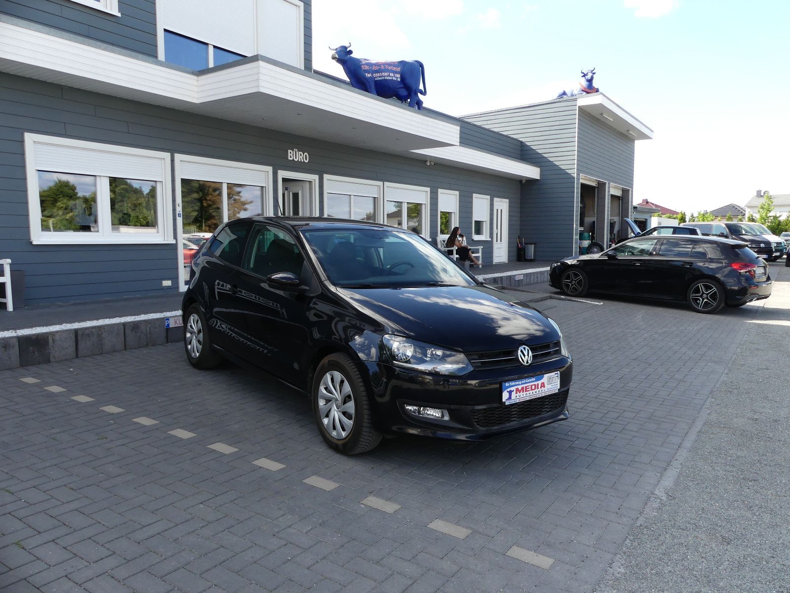 Fahrzeugabbildung Volkswagen Polo V Team