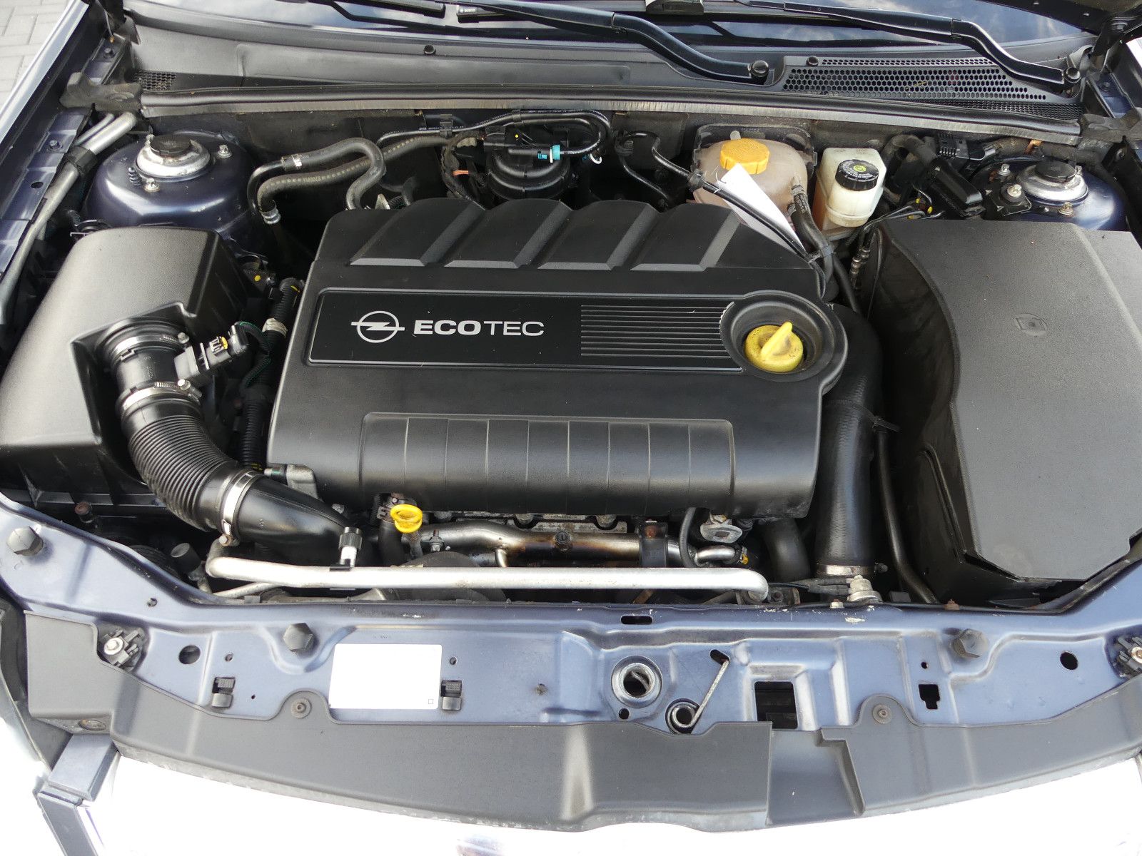 Fahrzeugabbildung Opel Signum Edition, *TÜV NEU*, *1.9 Diesel*