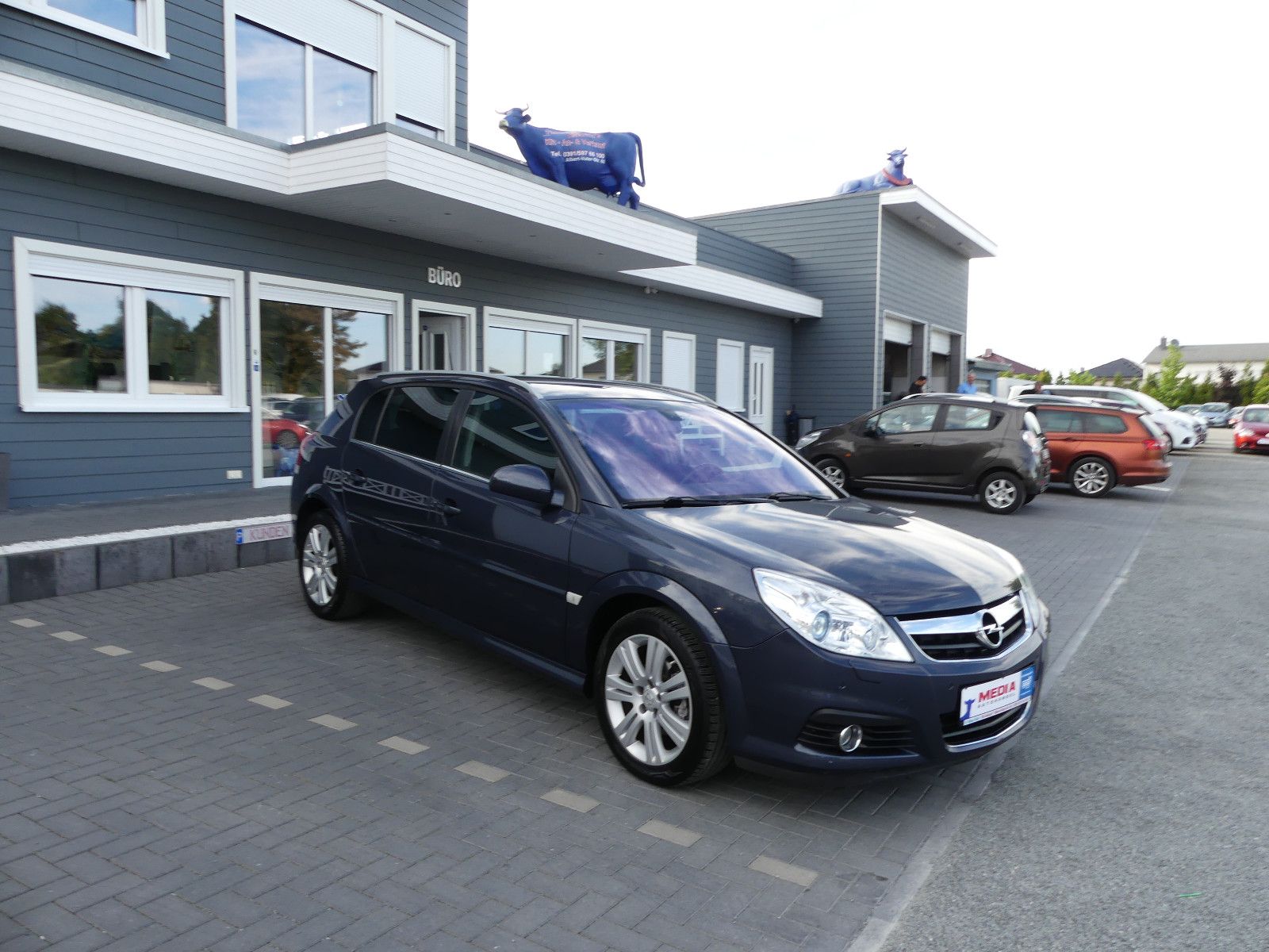 Fahrzeugabbildung Opel Signum Edition, *TÜV NEU*, *1.9 Diesel*