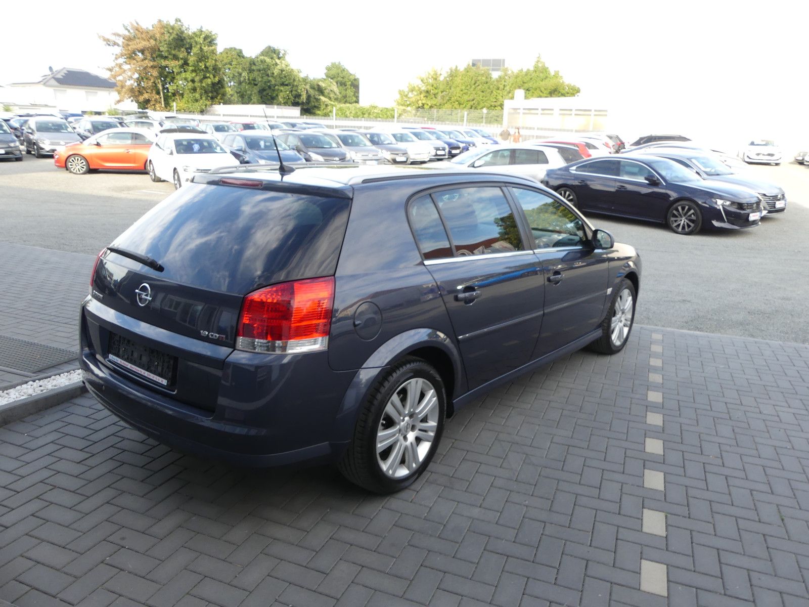 Fahrzeugabbildung Opel Signum Edition, *TÜV NEU*, *1.9 Diesel*