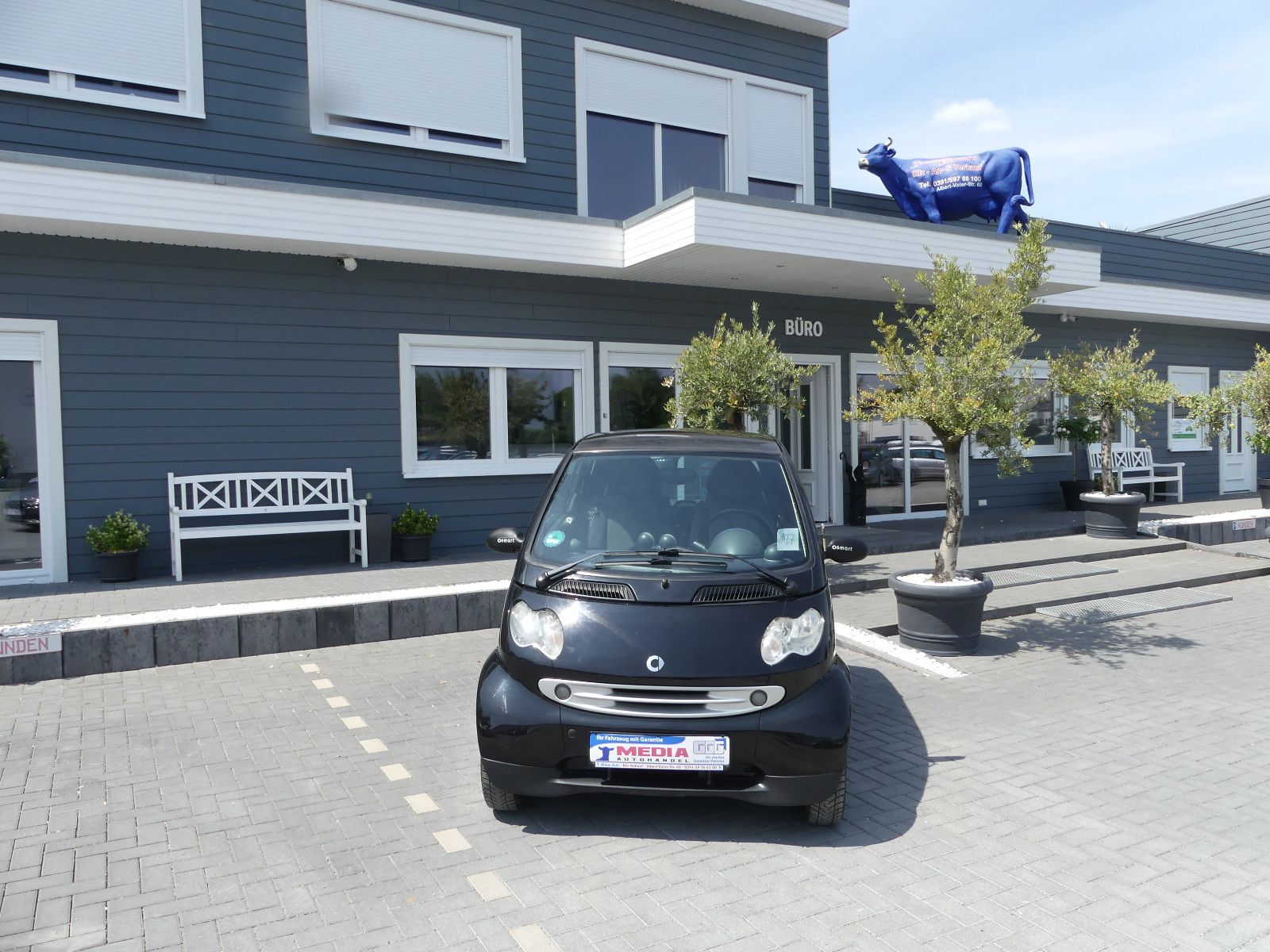Fahrzeugabbildung Smart ForTwo fortwo coupe Basis