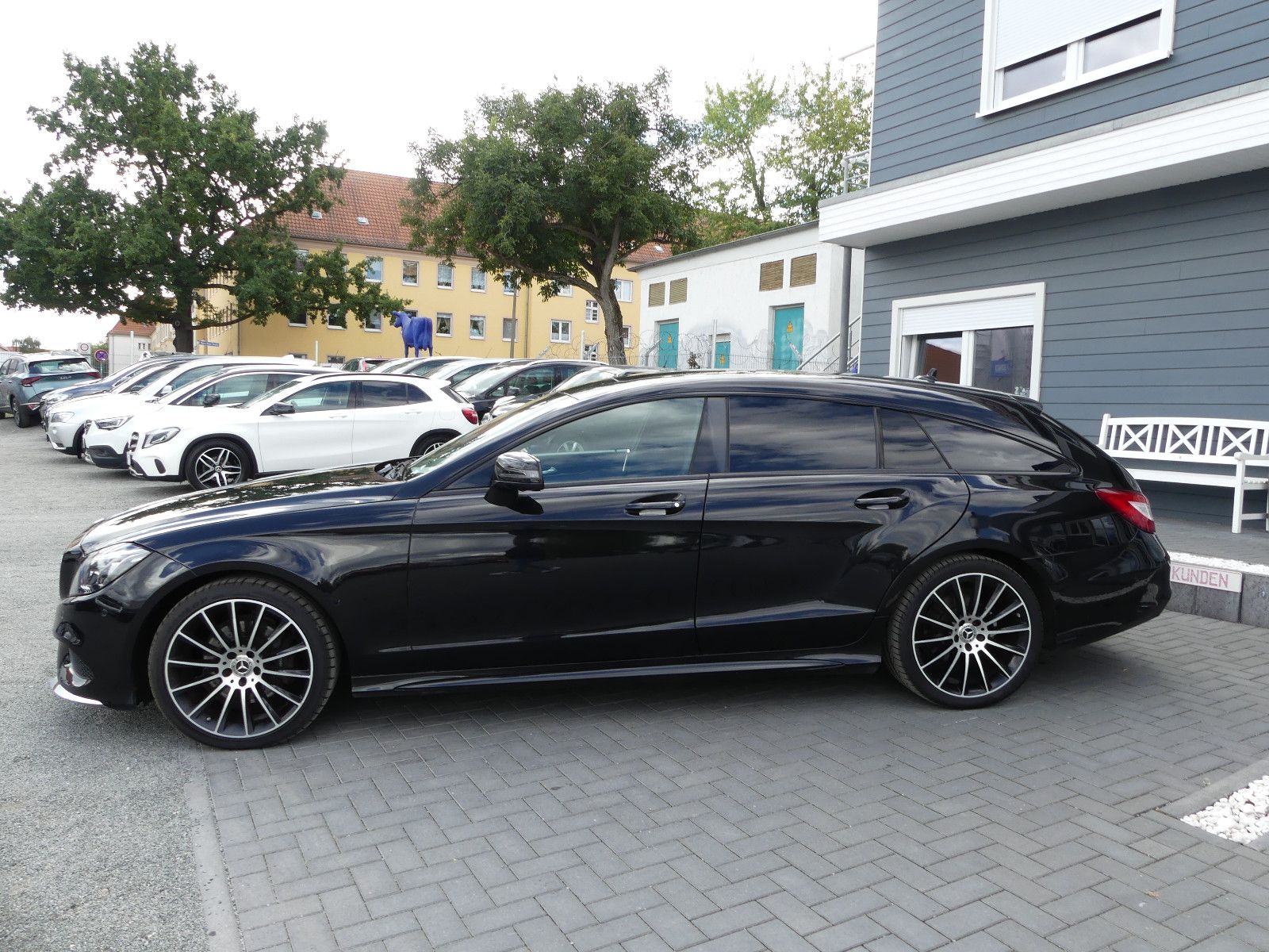 Fahrzeugabbildung Mercedes-Benz CLS . 250 BlueTec / d 4Matic