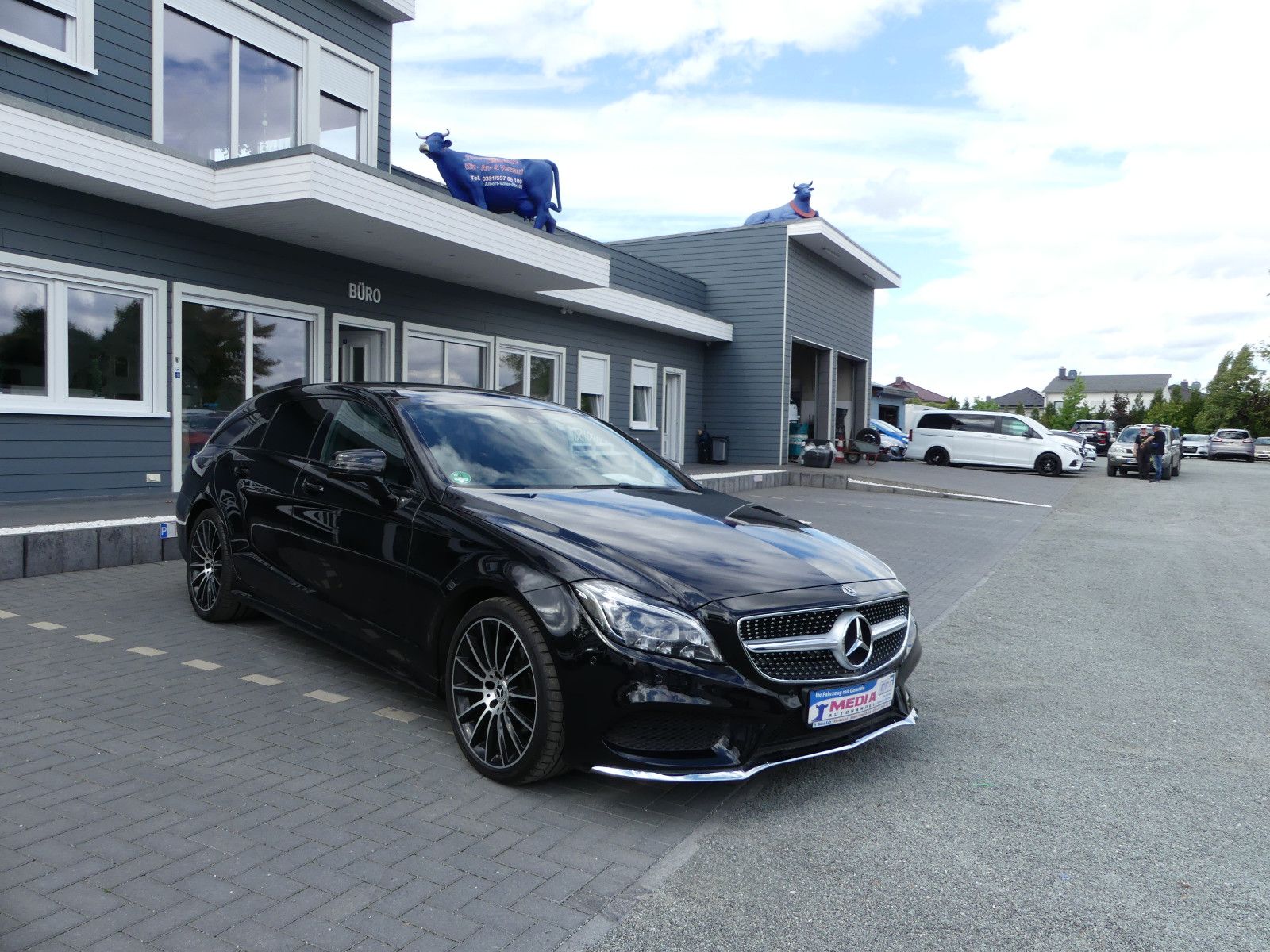 Fahrzeugabbildung Mercedes-Benz CLS . 250 BlueTec / d 4Matic