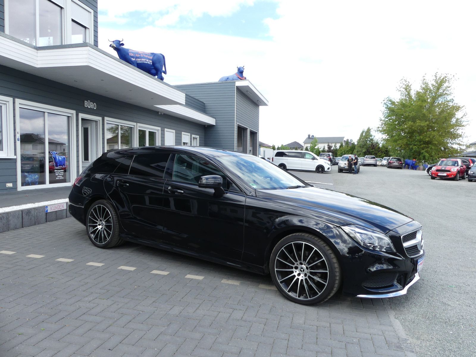 Fahrzeugabbildung Mercedes-Benz CLS . 250 BlueTec / d 4Matic