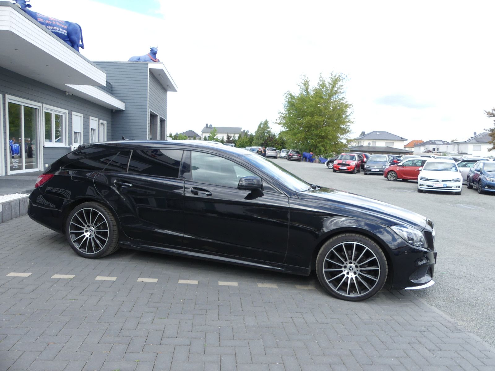 Fahrzeugabbildung Mercedes-Benz CLS . 250 BlueTec / d 4Matic