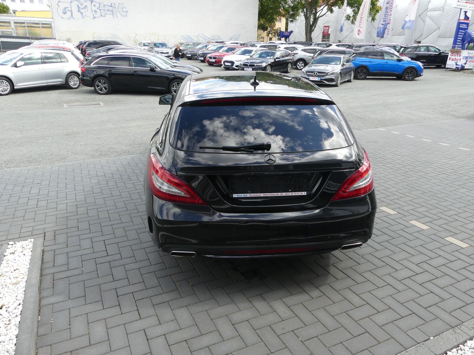 Fahrzeugabbildung Mercedes-Benz CLS . 250 BlueTec / d 4Matic