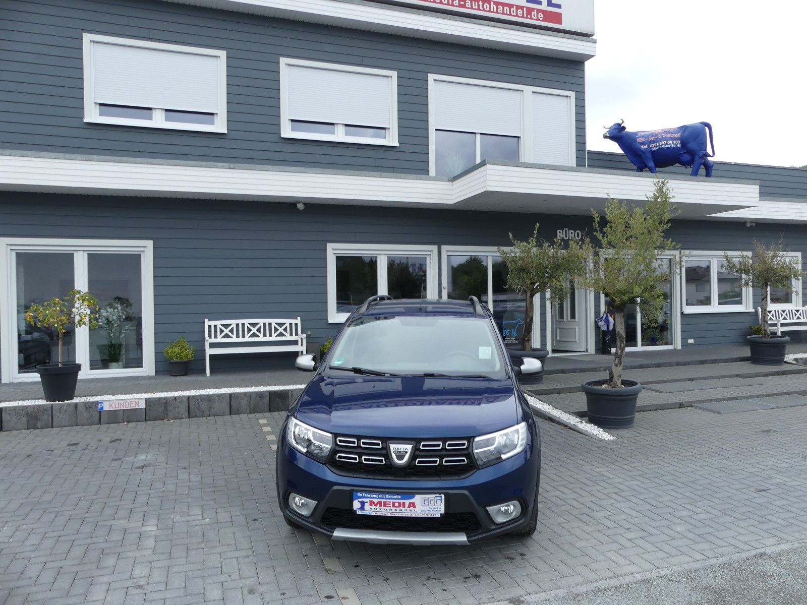 Fahrzeugabbildung Dacia Logan MCV II Kombi Stepway Celebration