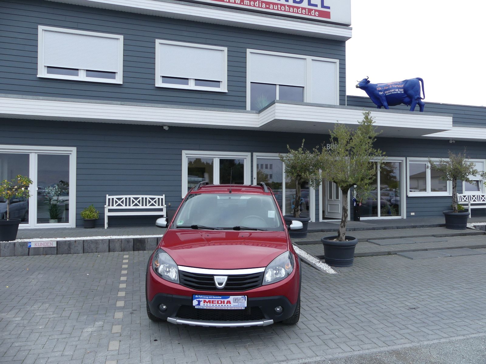 Fahrzeugabbildung Dacia Sandero Stepway