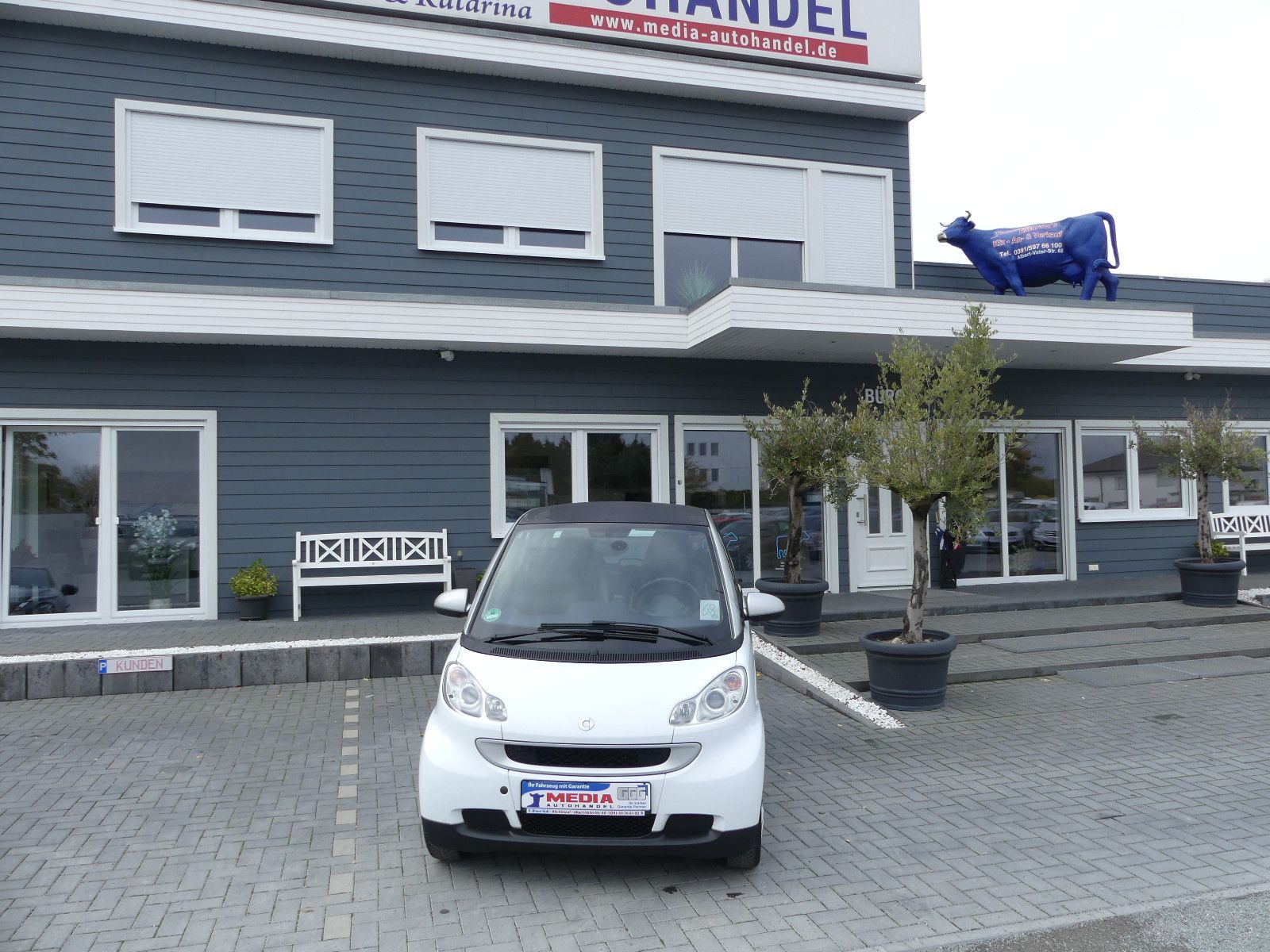 Fahrzeugabbildung Smart ForTwo fortwo coupe  Drive 45kW