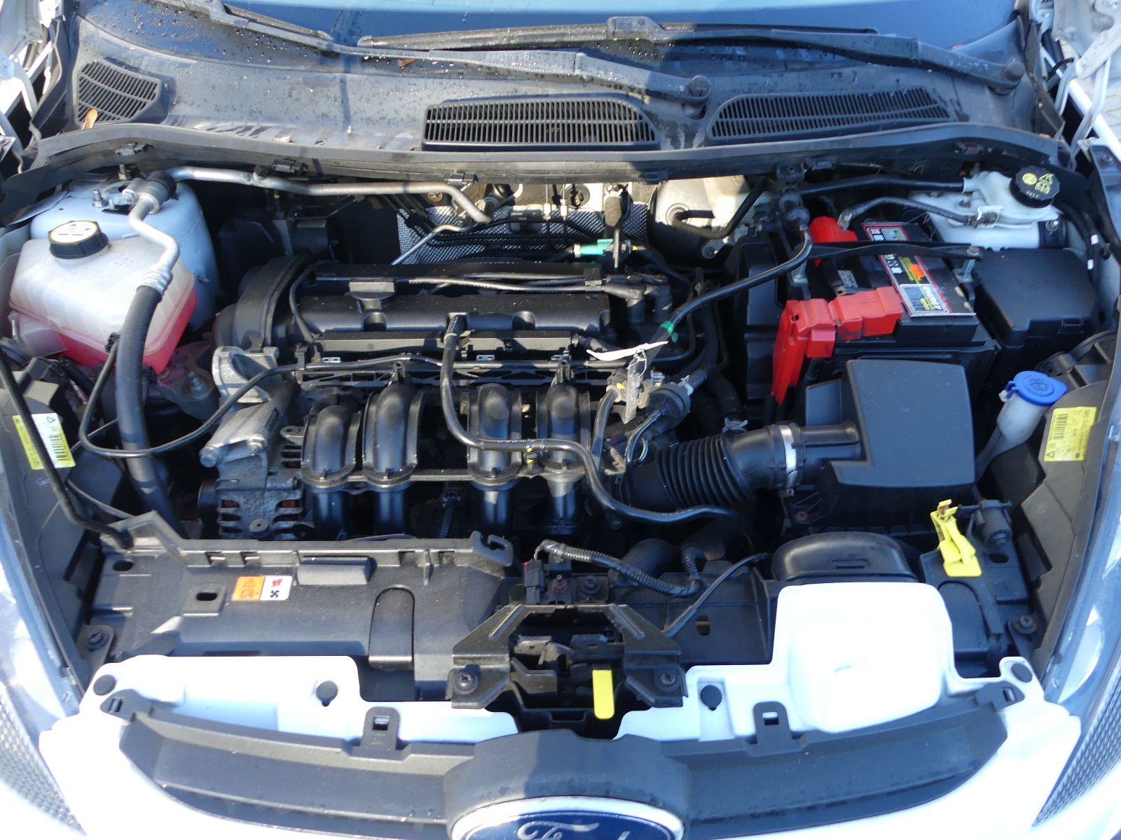 Fahrzeugabbildung Ford Fiesta Trend, TÜV neu