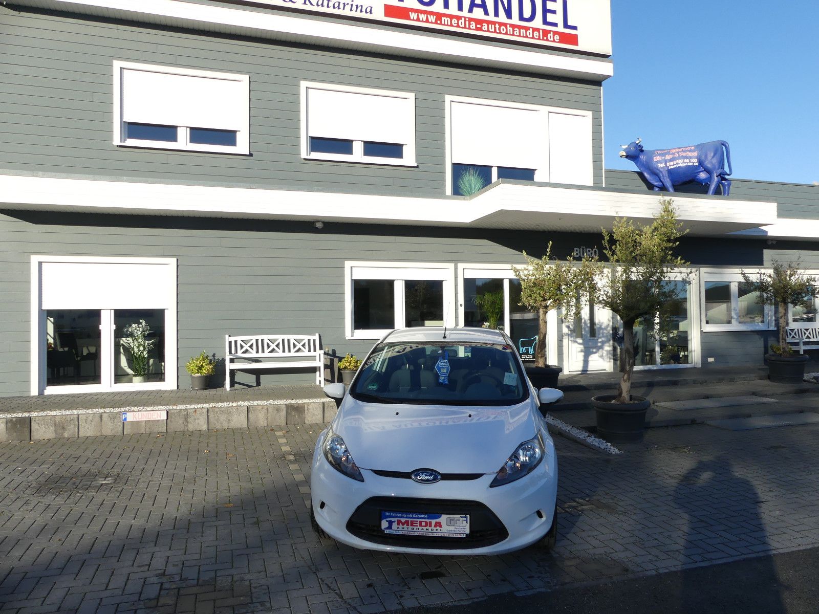 Fahrzeugabbildung Ford Fiesta Trend, TÜV neu