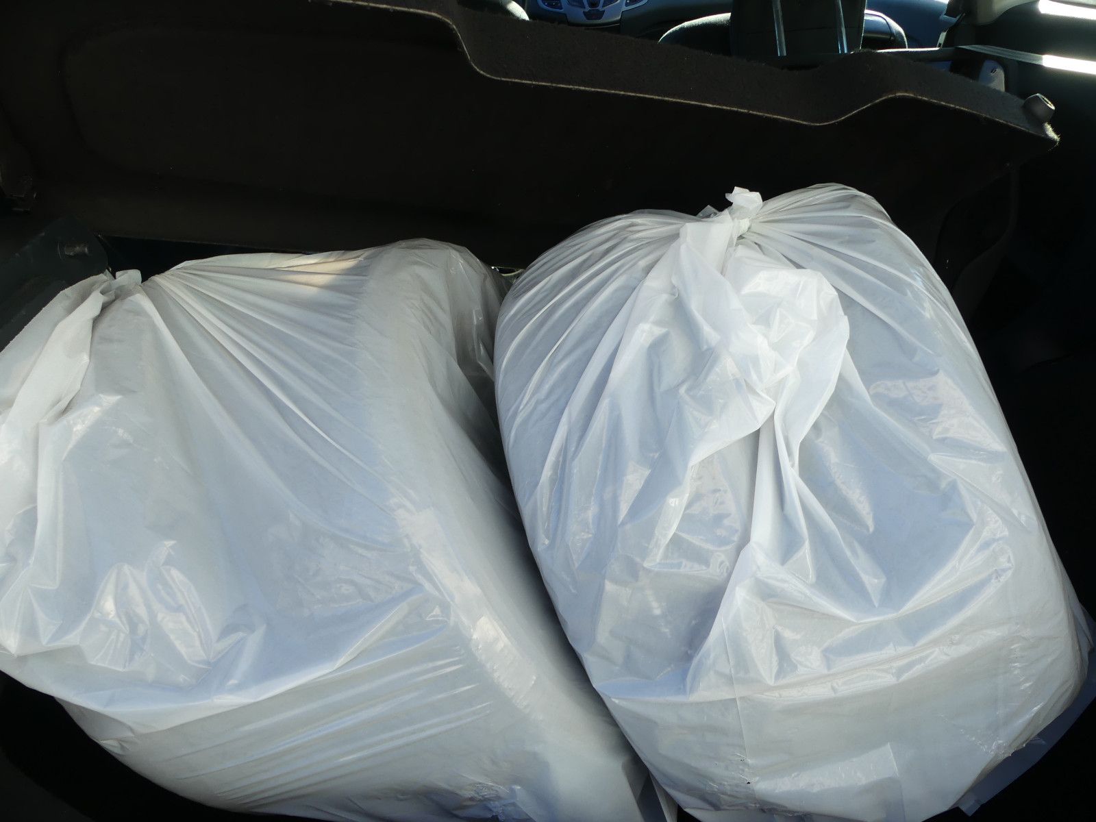 Fahrzeugabbildung Ford Fiesta Trend, TÜV neu