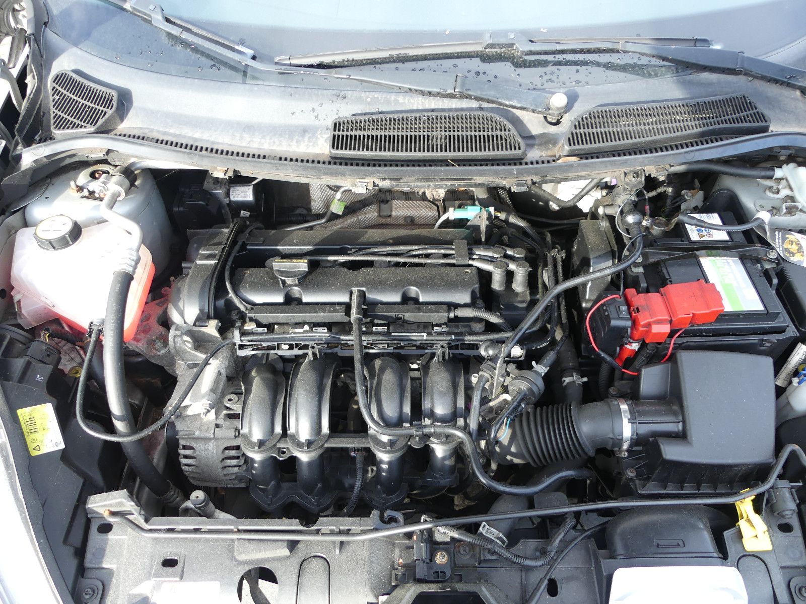 Fahrzeugabbildung Ford Fiesta Champions Edition