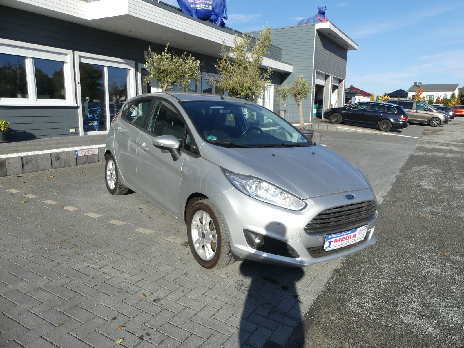 Fahrzeugabbildung Ford Fiesta Trend