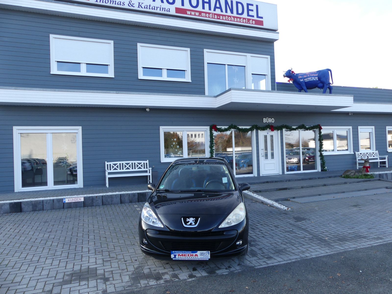 Fahrzeugabbildung Peugeot 206 + Basis