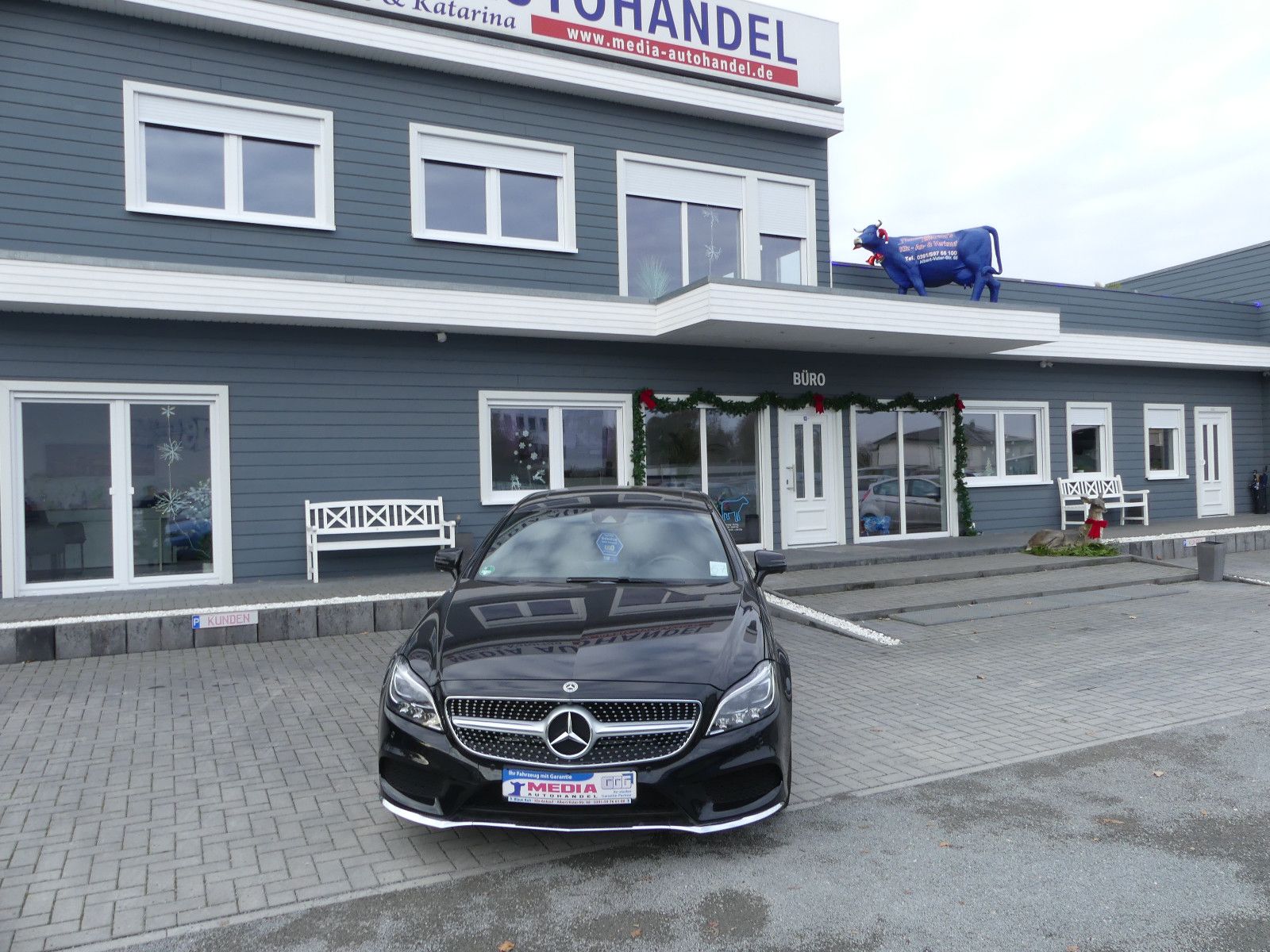 Fahrzeugabbildung Mercedes-Benz CLS Shooting Brake CLS 250 BlueTec / d 4Matic