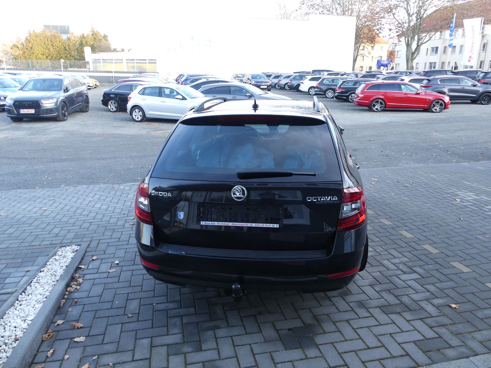 Fahrzeugabbildung SKODA Octavia Combi Style, Automatik