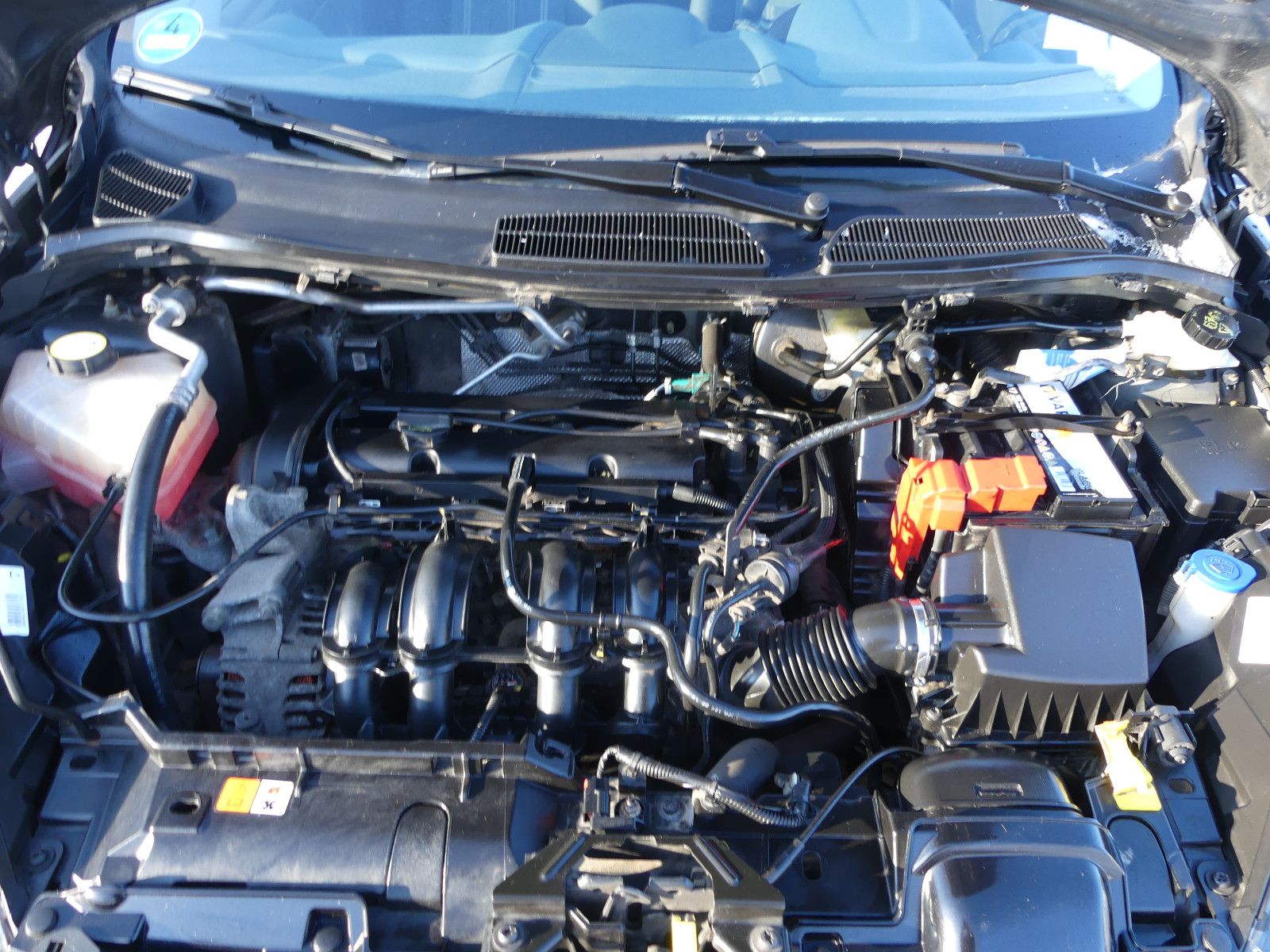 Fahrzeugabbildung Ford Fiesta Trend