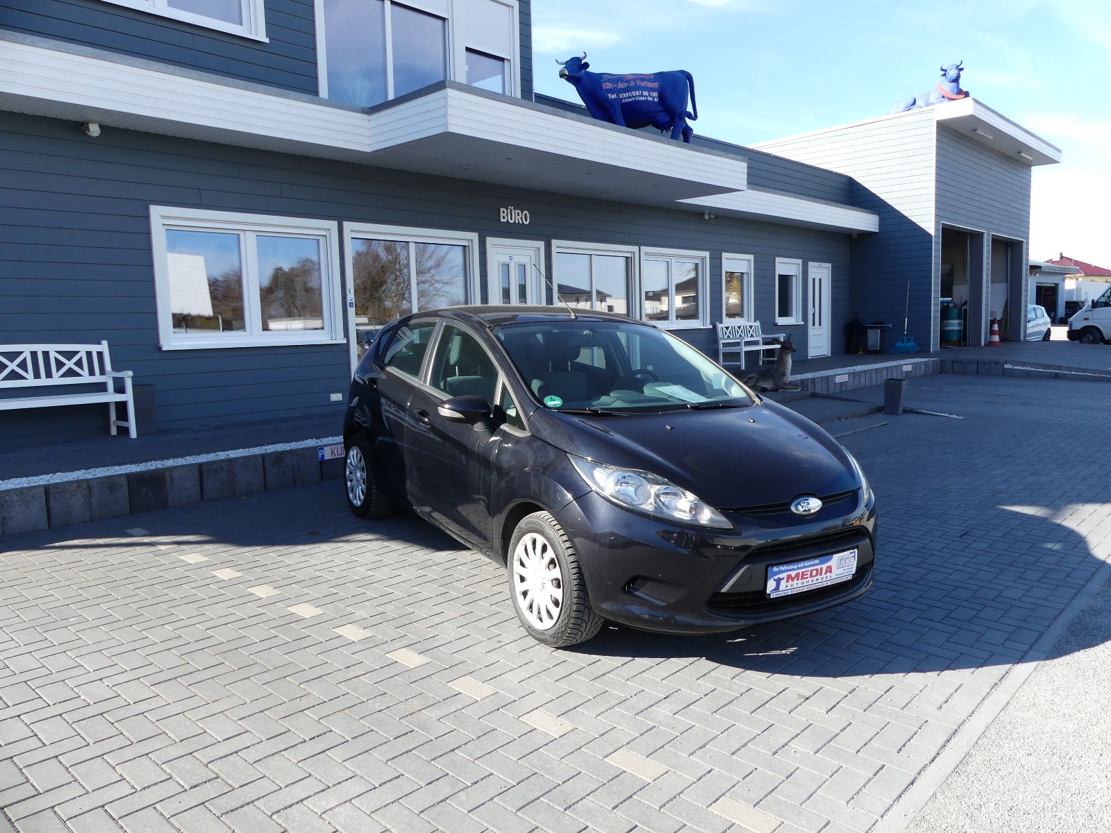 Fahrzeugabbildung Ford Fiesta Trend