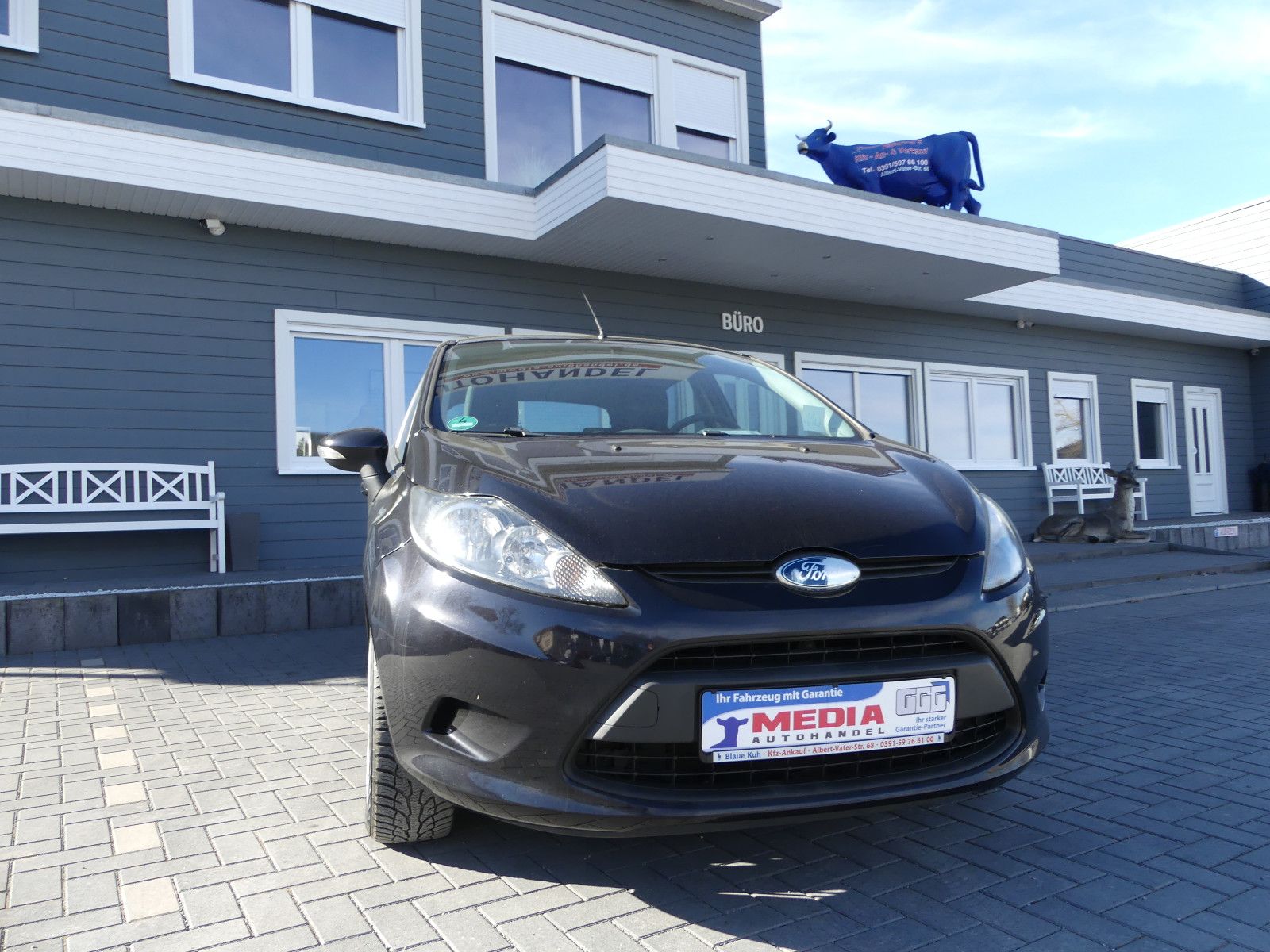 Fahrzeugabbildung Ford Fiesta Trend