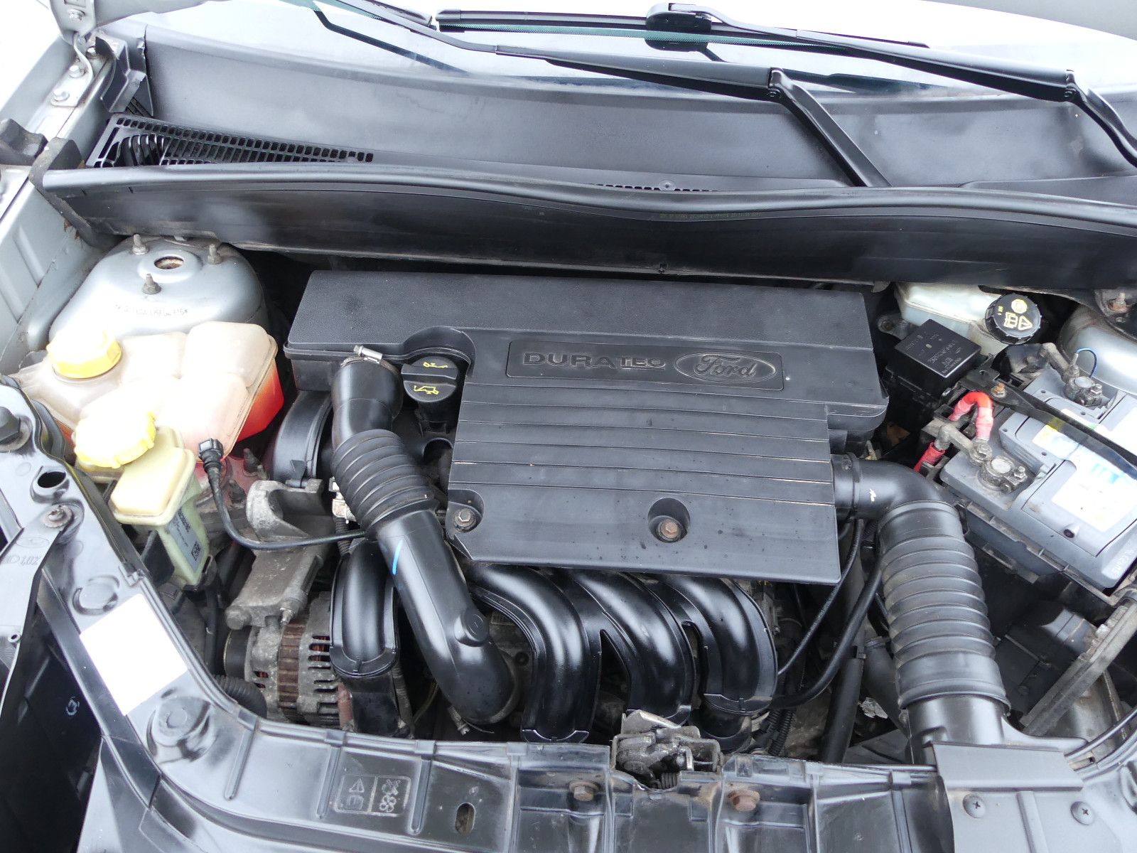 Fahrzeugabbildung Ford Fusion Fun