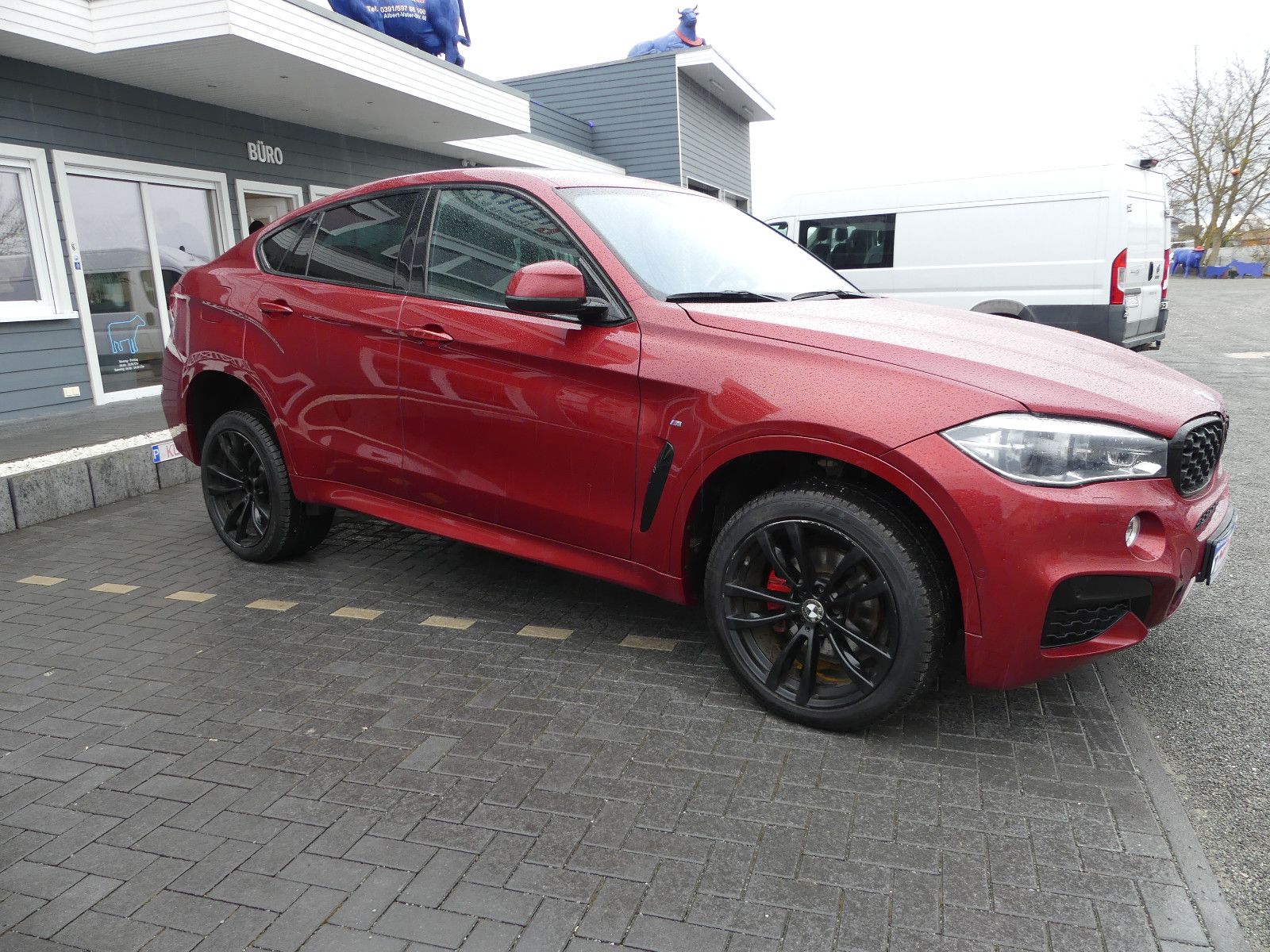 Fahrzeugabbildung BMW X6 xDrive 30 d, *TÜV NEU*