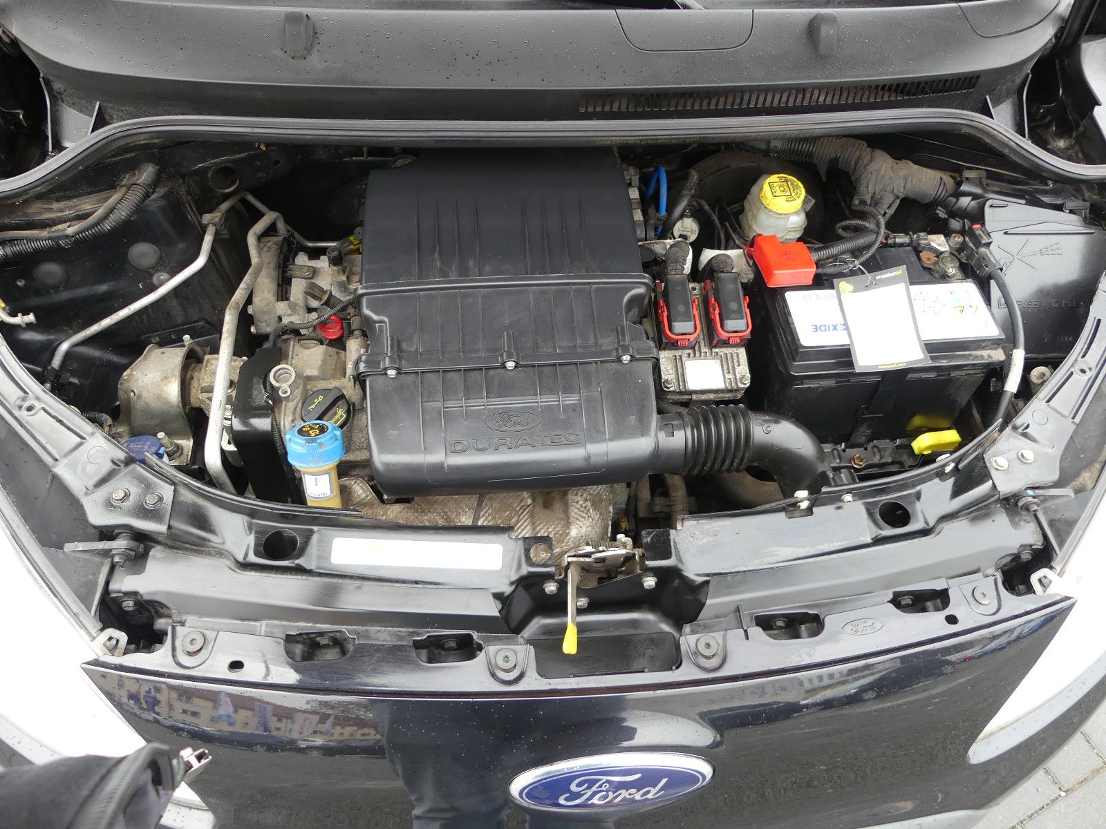 Fahrzeugabbildung Ford Ka Champions Edition *1-Hand*