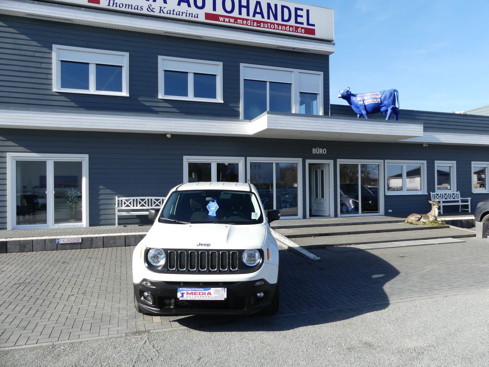 Fahrzeugabbildung Jeep Renegade Sport FWD