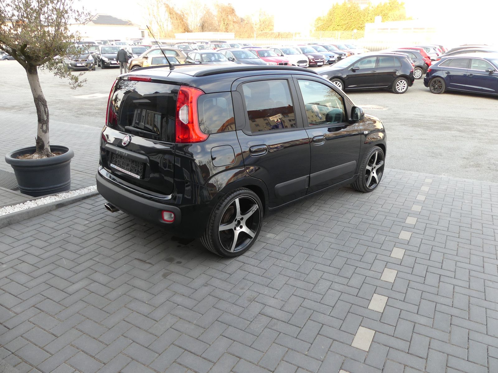 Fahrzeugabbildung Fiat Panda Lounge"2.HAND"83TKM"