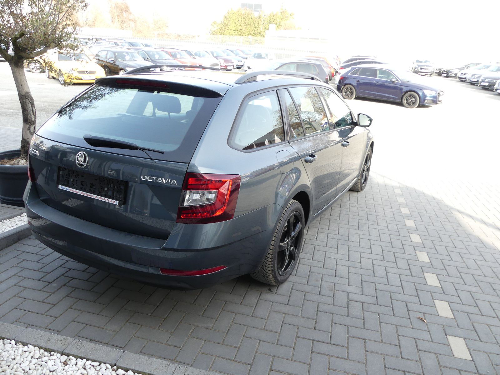 Fahrzeugabbildung SKODA Octavia Combi Ambition"1.HAND"