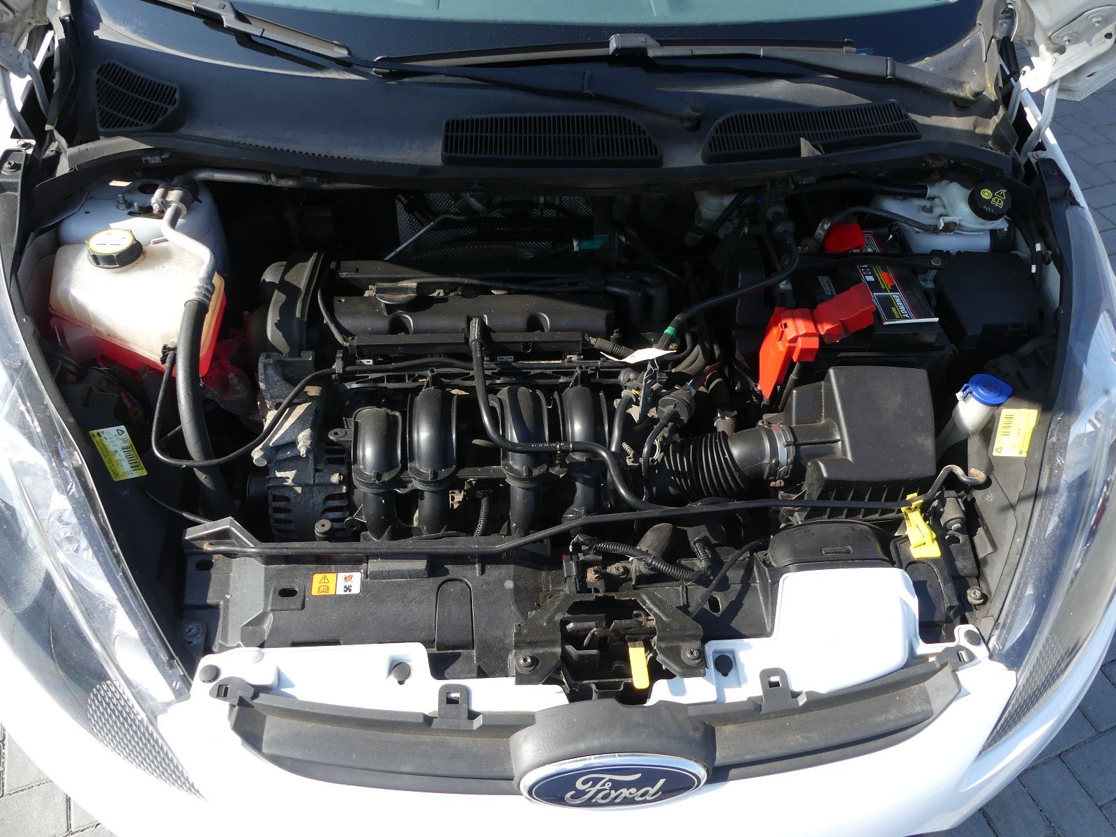 Fahrzeugabbildung Ford Fiesta Trend"TÜV NEU"