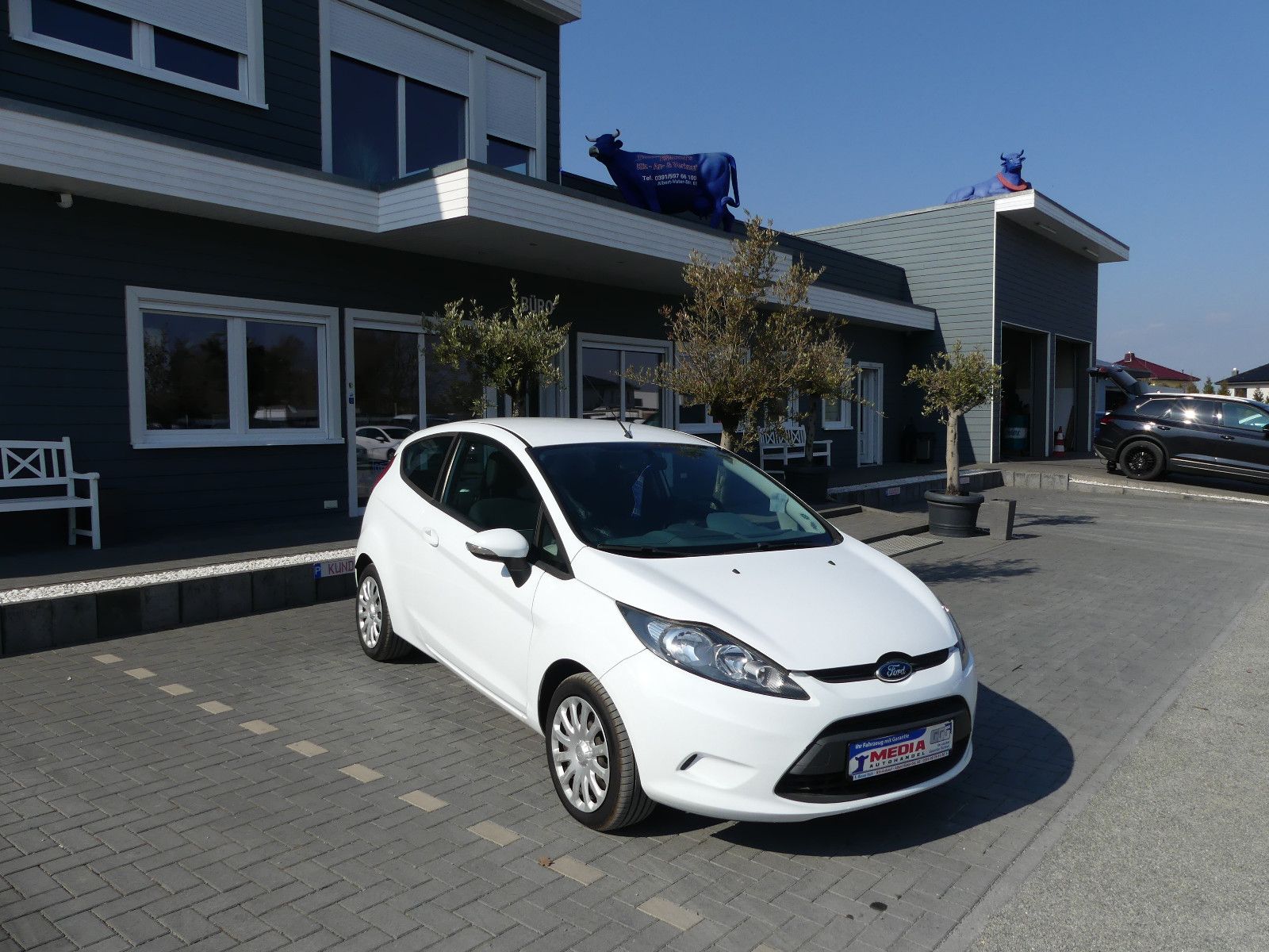 Fahrzeugabbildung Ford Fiesta Trend"TÜV NEU"