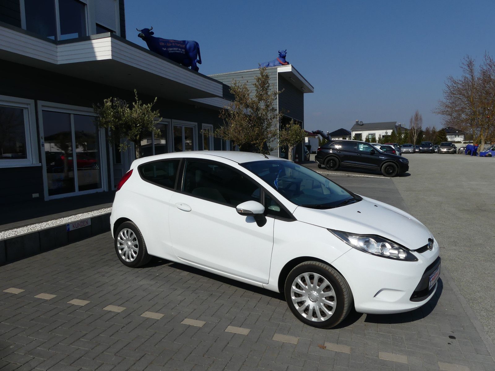 Fahrzeugabbildung Ford Fiesta Trend"TÜV NEU"