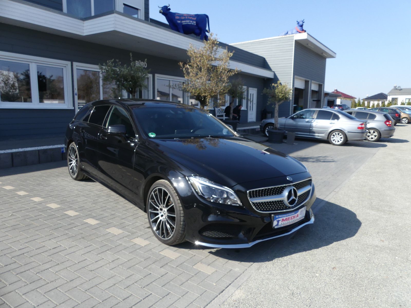 Fahrzeugabbildung Mercedes-Benz CLS Shooting Brake CLS 250 BlueTec / d 4Matic