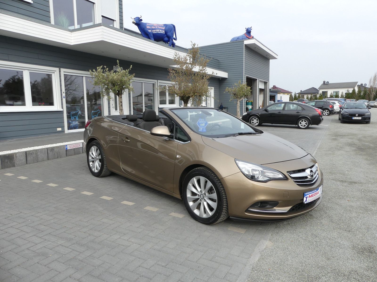 Fahrzeugabbildung Opel Cascada Edition ecoFlex, * CABRIO*