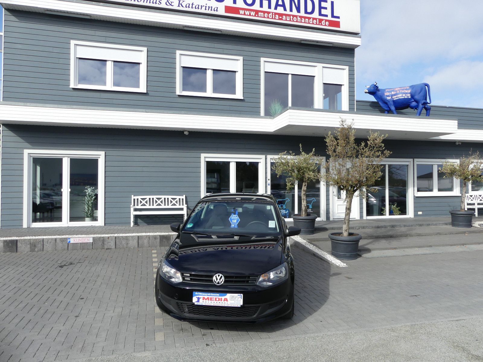 Fahrzeugabbildung Volkswagen Polo V Trendline