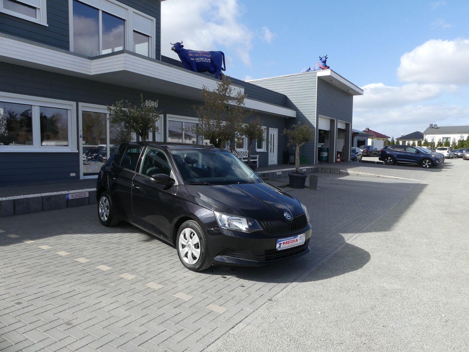 Fahrzeugabbildung SKODA Fabia Cool Edition