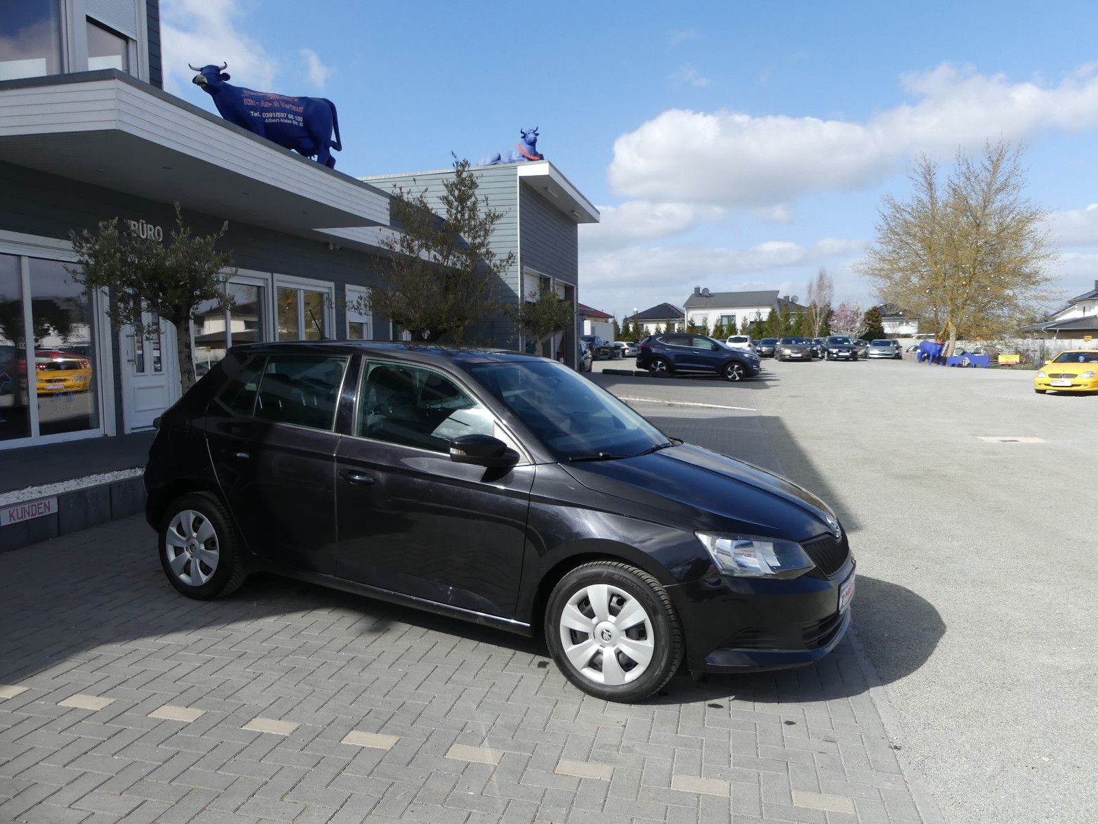 Fahrzeugabbildung SKODA Fabia Cool Edition