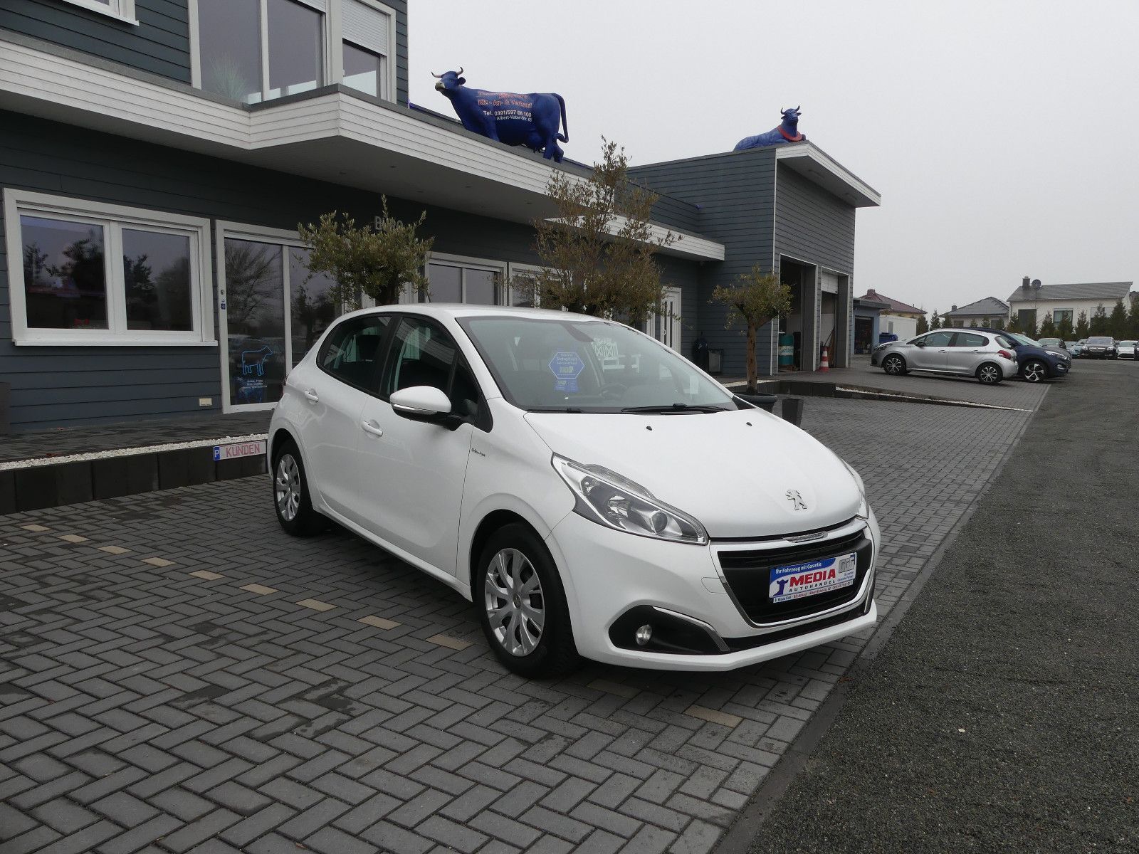 Fahrzeugabbildung Peugeot 208 Active, * TÜV NEU*, * Allwetterreifen*