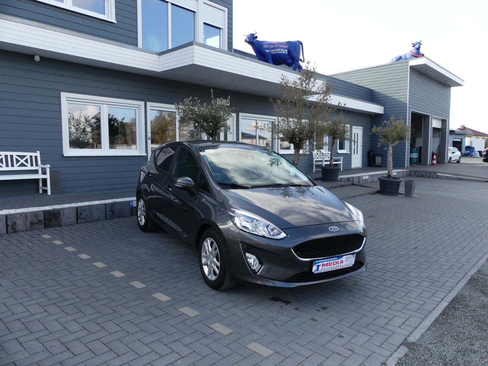 Fahrzeugabbildung Ford Fiesta Cool & Connect"70TKM"