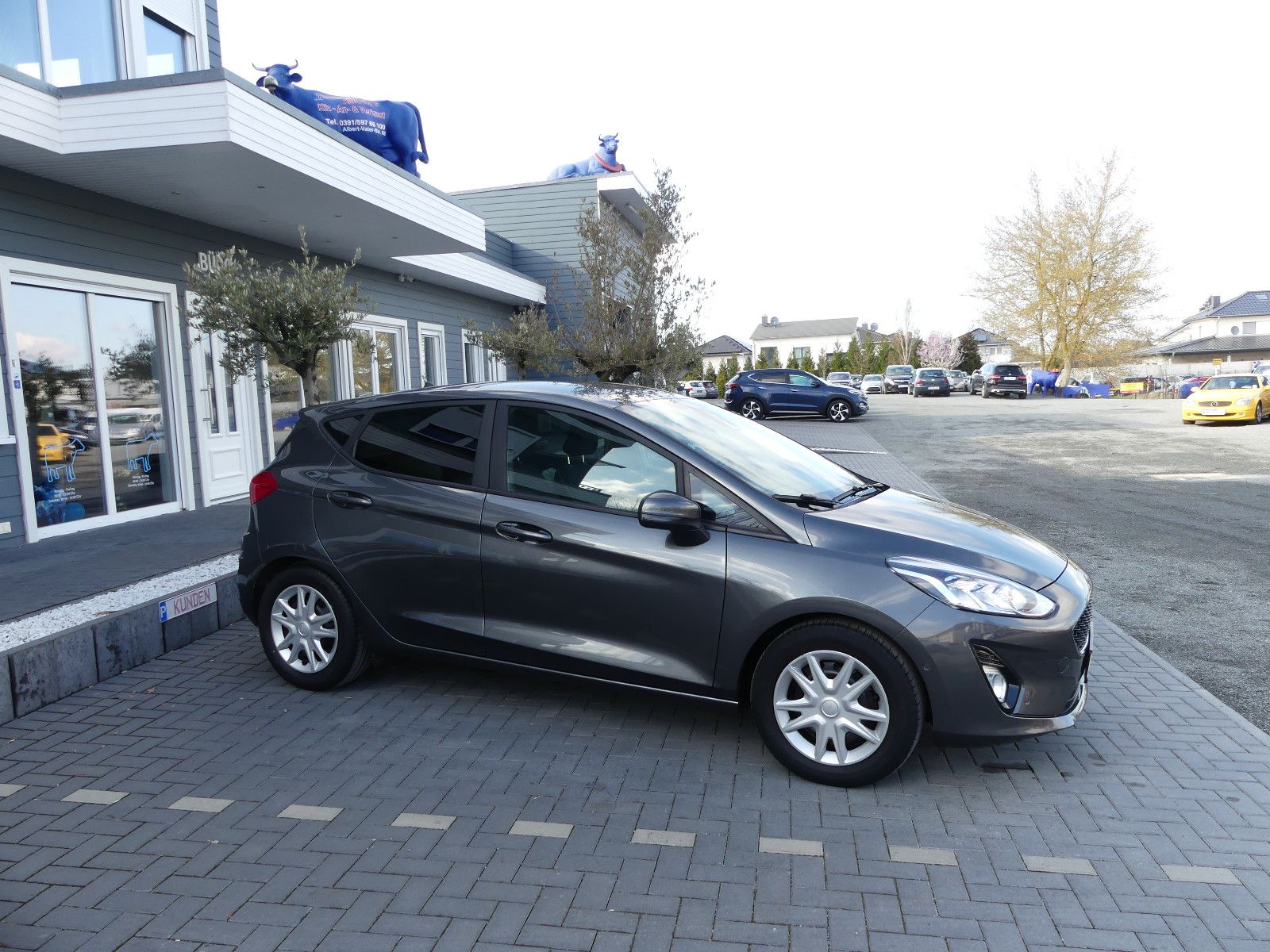 Fahrzeugabbildung Ford Fiesta Cool & Connect"70TKM"