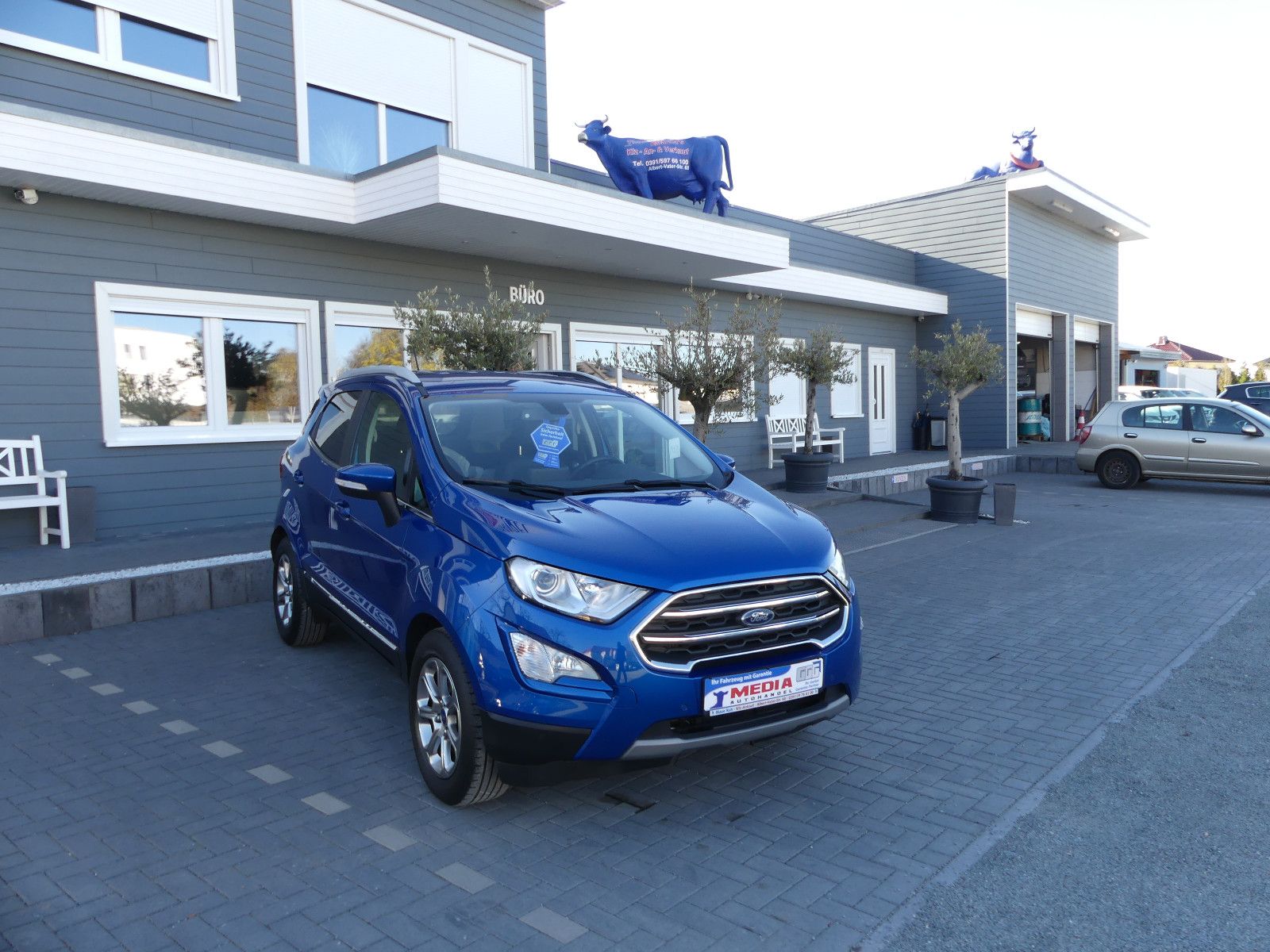 Fahrzeugabbildung Ford EcoSport Titanium"55TKM"