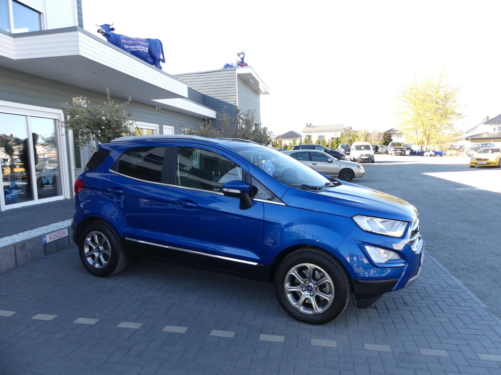 Fahrzeugabbildung Ford EcoSport Titanium"55TKM"