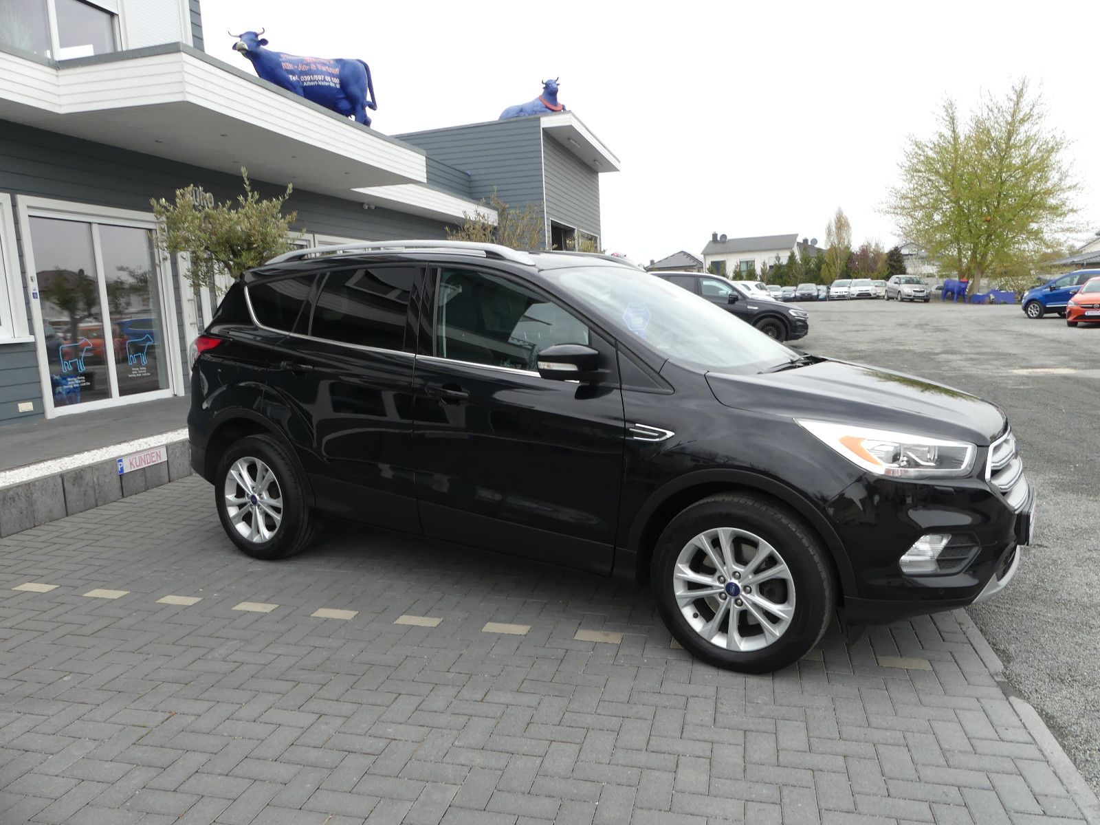 Fahrzeugabbildung Ford Kuga Titanium "Scheckheftgepf."