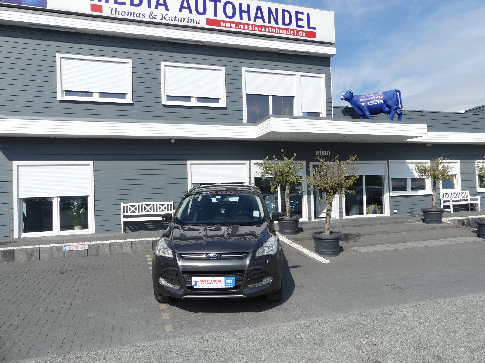 Fahrzeugabbildung Ford Kuga Sync Edition