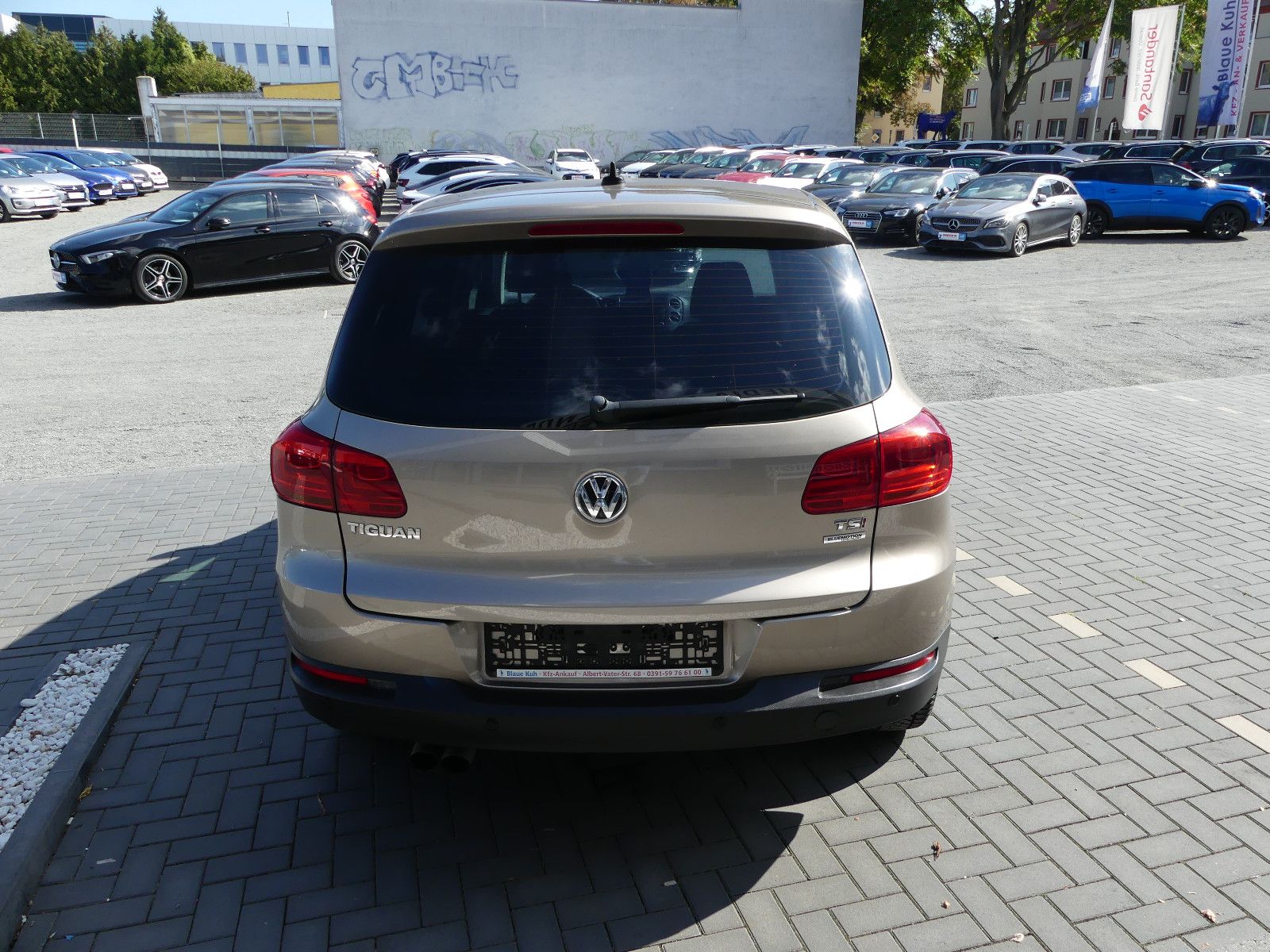 Fahrzeugabbildung Volkswagen Tiguan Trend & Fun BMT
