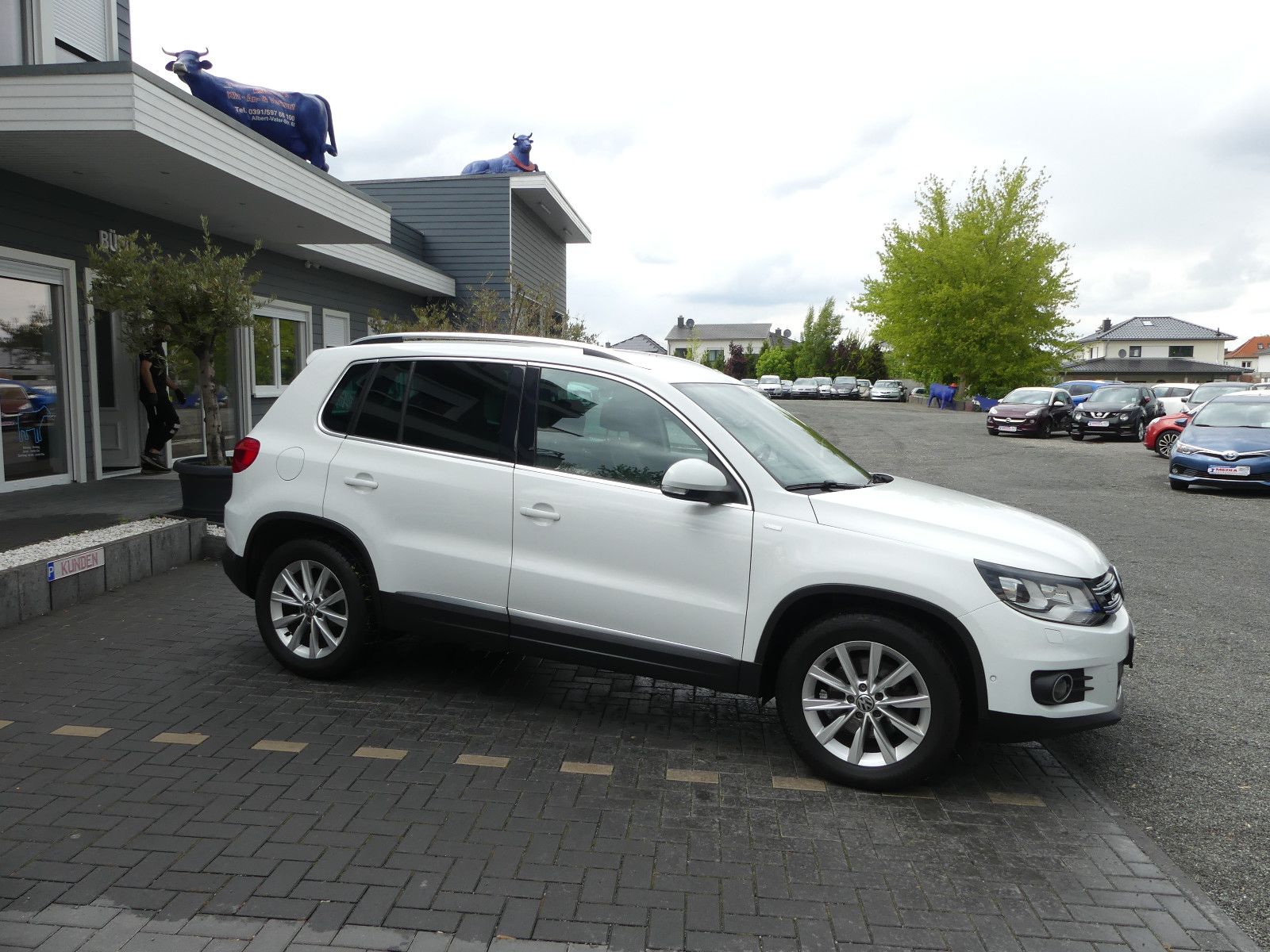 Fahrzeugabbildung Volkswagen Tiguan Life BMT"69TKM"