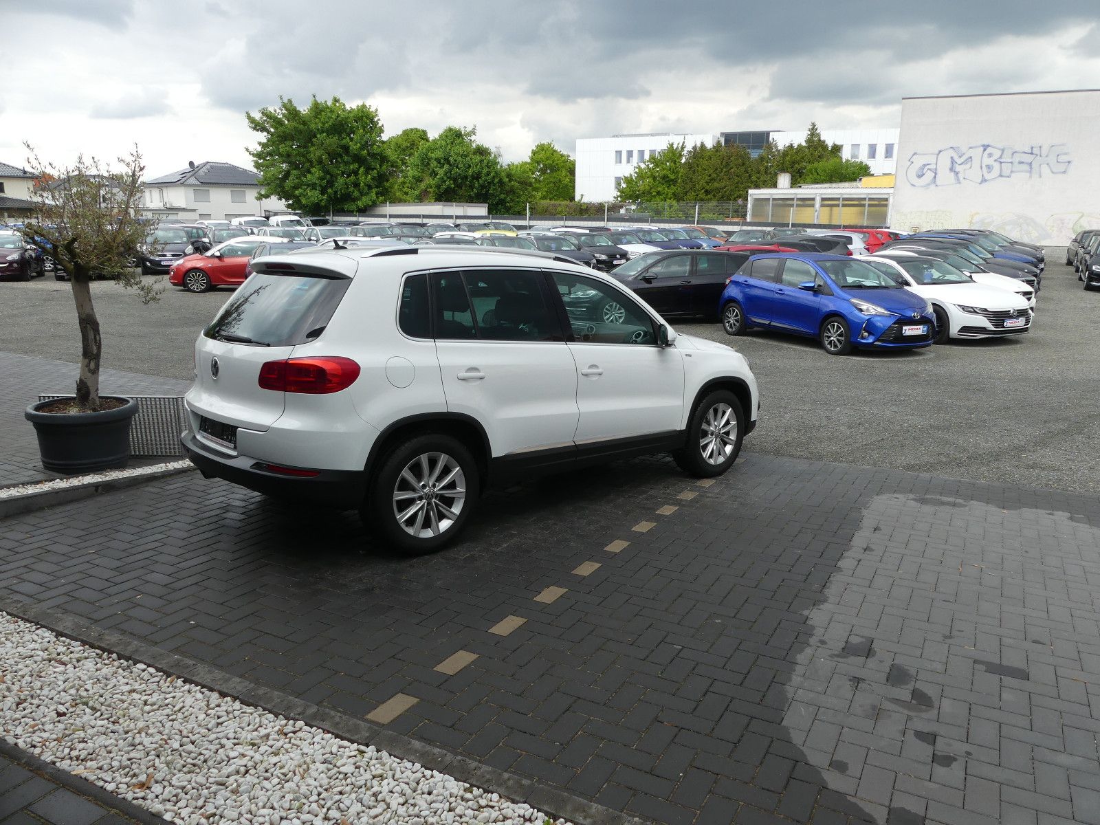 Fahrzeugabbildung Volkswagen Tiguan Life BMT"69TKM"
