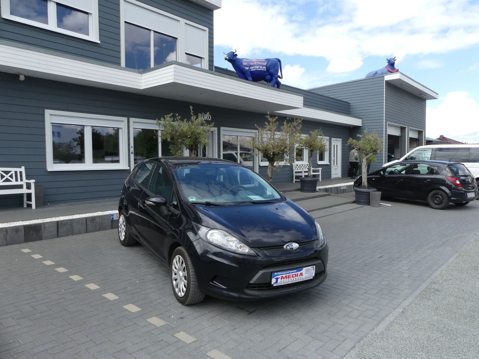 Fahrzeugabbildung Ford Fiesta Trend